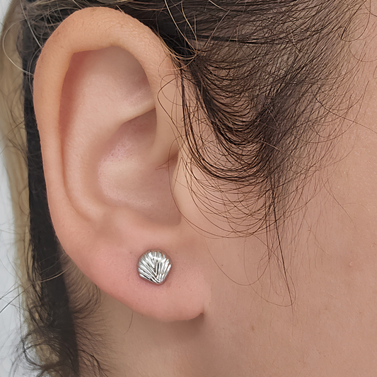 Aretes Concha Marina