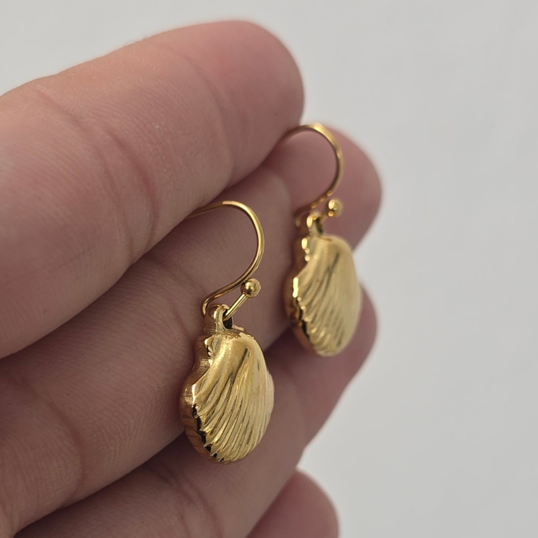 Aretes Concha Marina