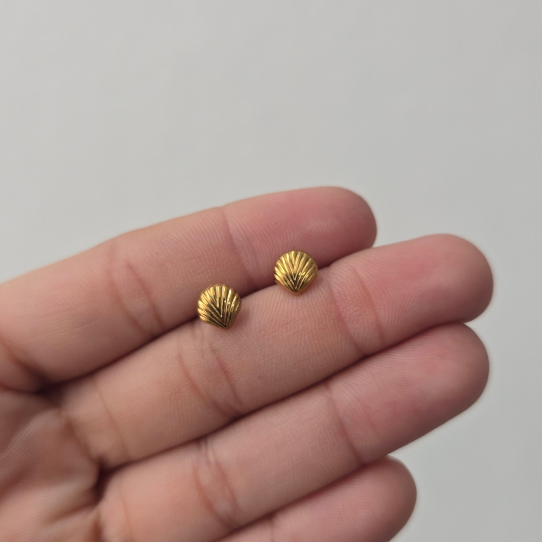 Aretes Concha Marina