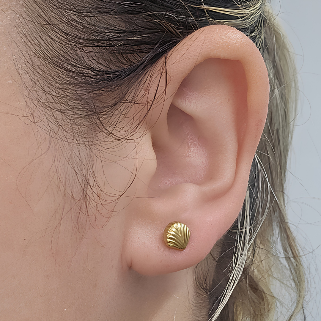 Aretes Concha Marina