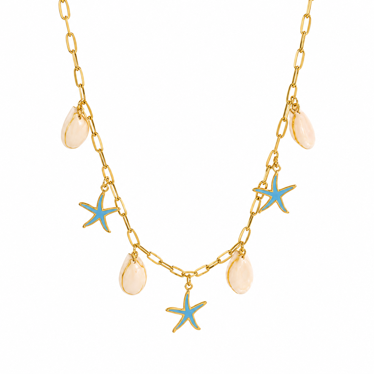 Estrellas de Mar y Conchas